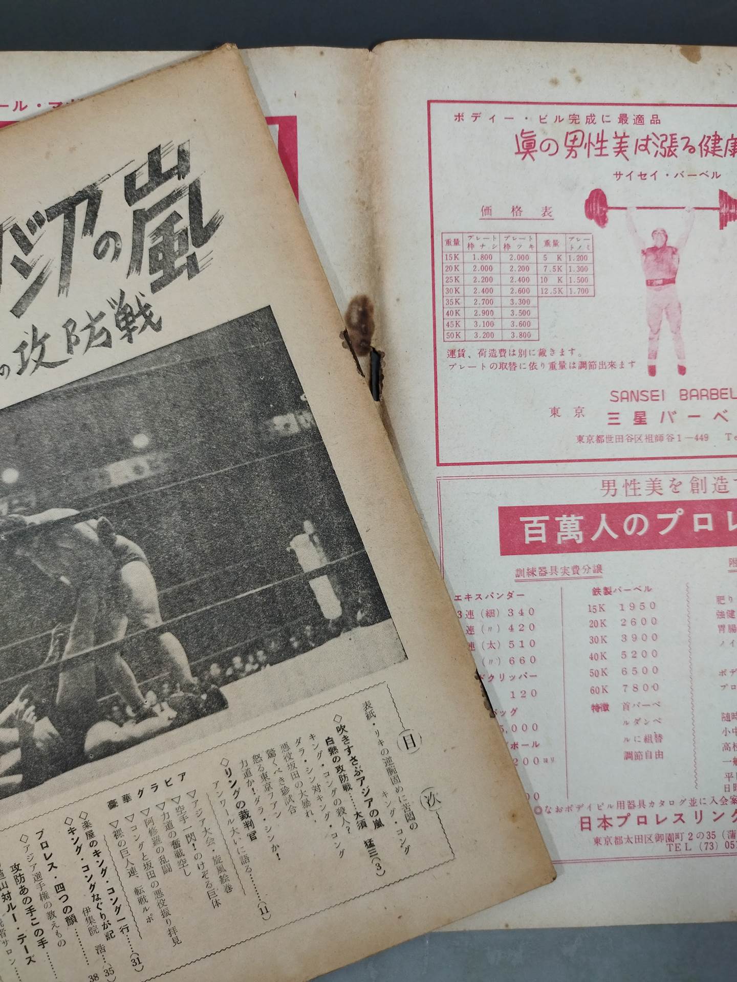 Pro Wrestling  Monthly December 1955 Special Issue