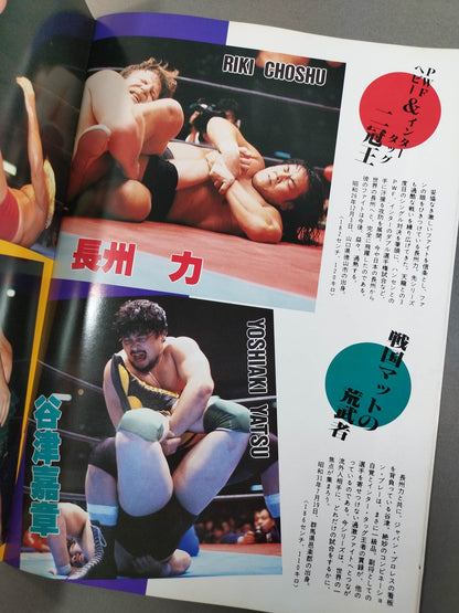 ★ Riki Choshu vs Terry PWF ★ 15th Anniversary 86 Giant Series