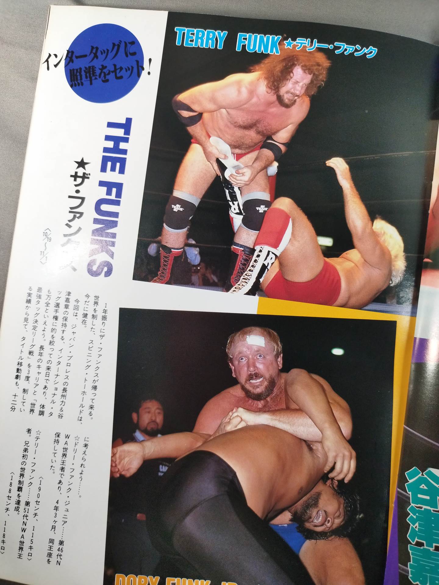 ★ Riki Choshu vs Terry PWF ★ 15th Anniversary 86 Giant Series