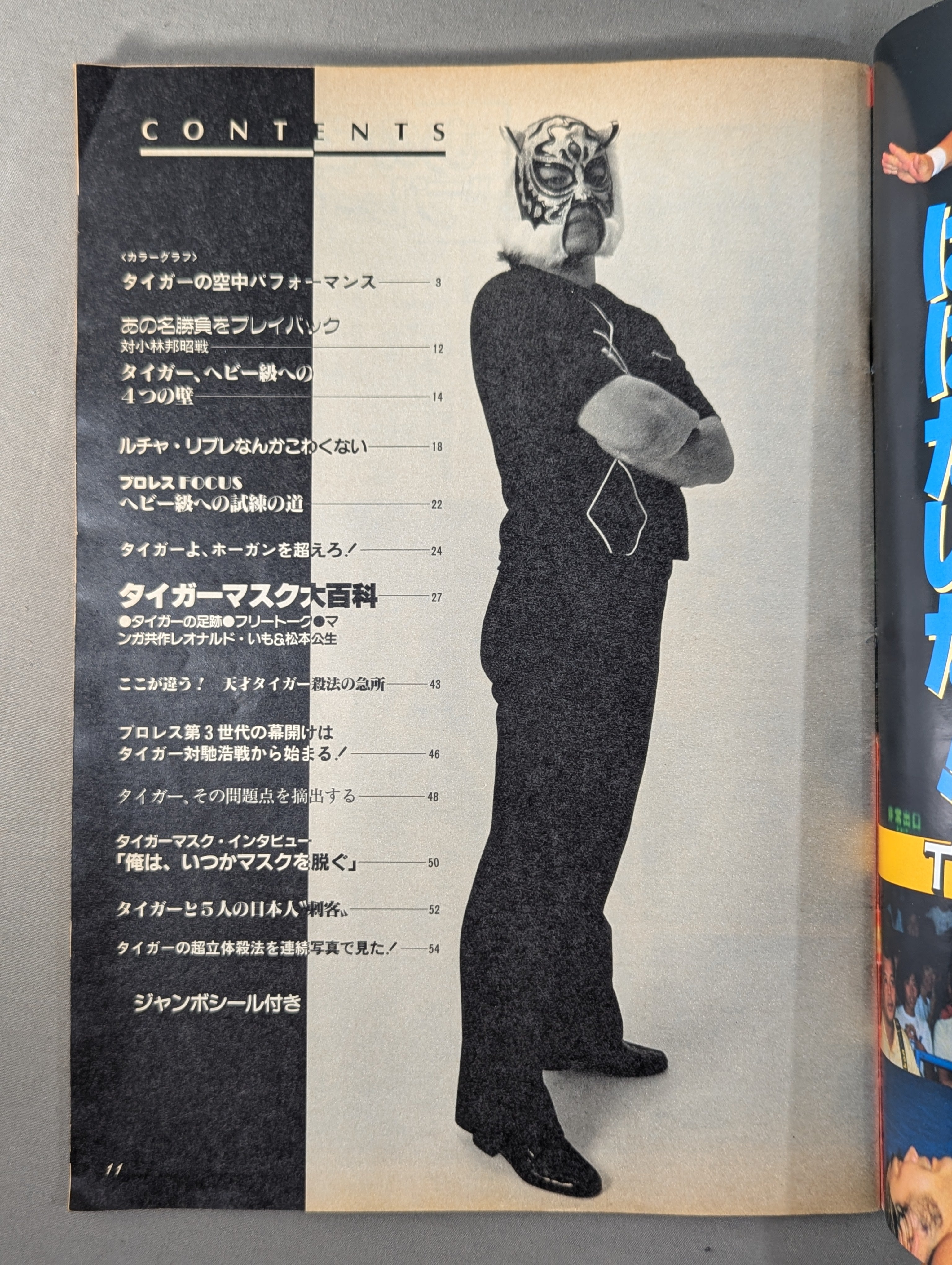 人気定番の プロレスアルバム62 タイガーマスク 新たなる虎伝説の誕生 – 闘道館 アート・デザイン・音楽