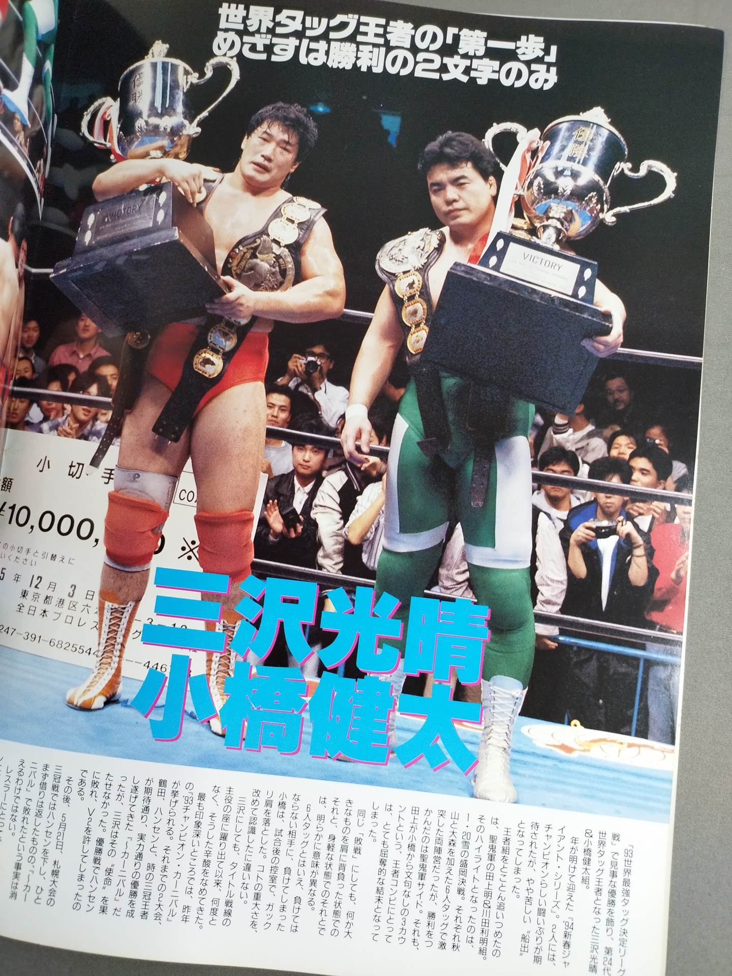 94 Excite Series / 3.5 Budokan Dream Card