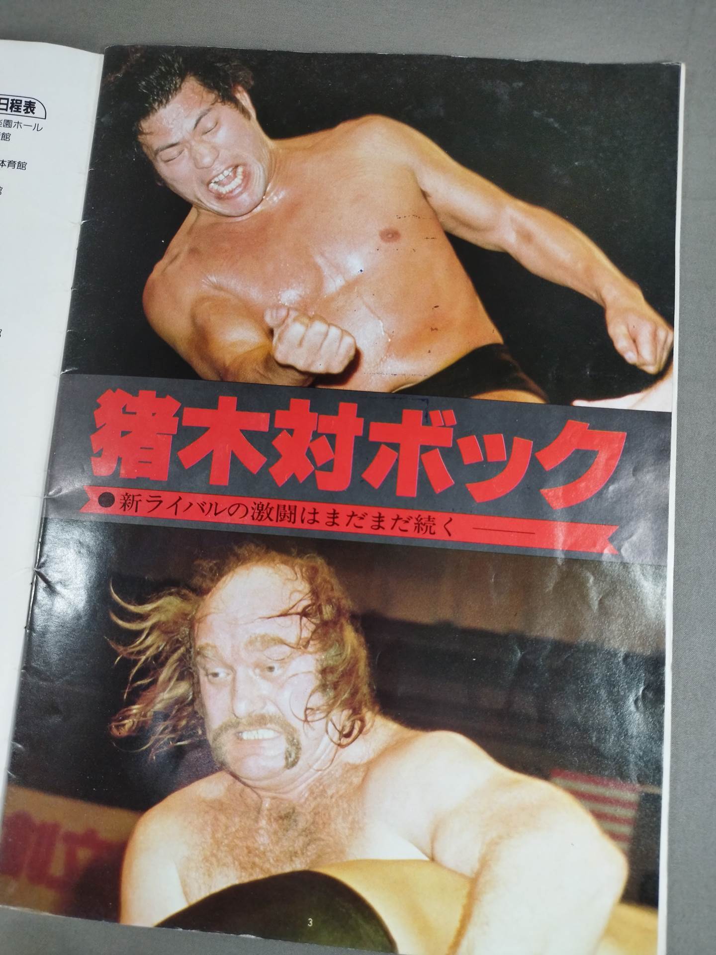 THE WRESTLER Vol.5 MSG Series Vol.7