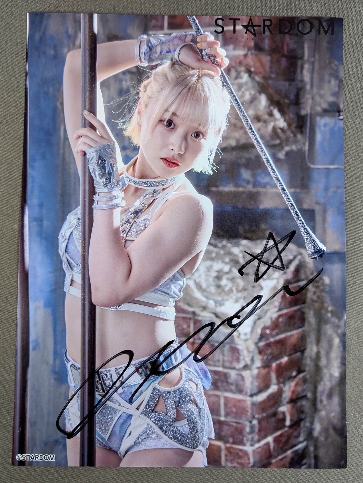 スターダム　なつぽい選手　直筆サイン入り写真集 直筆サイン入り】なつぽい 写真集 ぽい拾い。 – 闘道館
