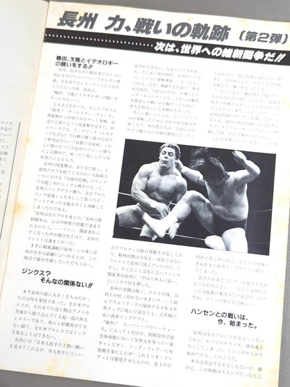 Japan Pro Wrestling  / 85 Summer Dream Festival