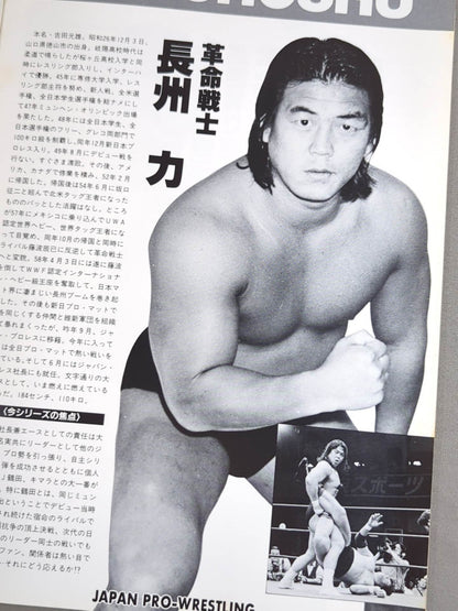 Japan Pro Wrestling  / 85 Summer Dream Festival