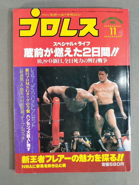 Pro Wrestling  Monthly, November 1981