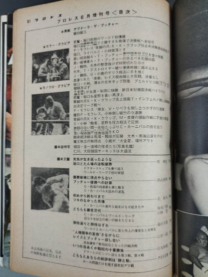 月刊プロレス 1976年6月号増刊