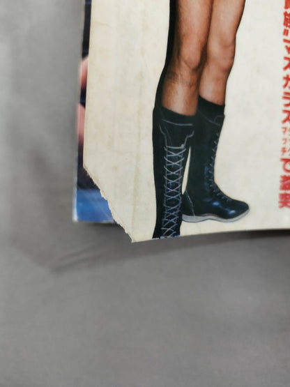 Pro Wrestling  Monthly, June 1978