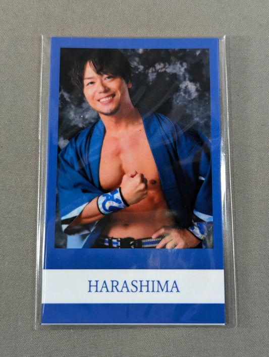 HARASHIMA ミニフォト風カードセット