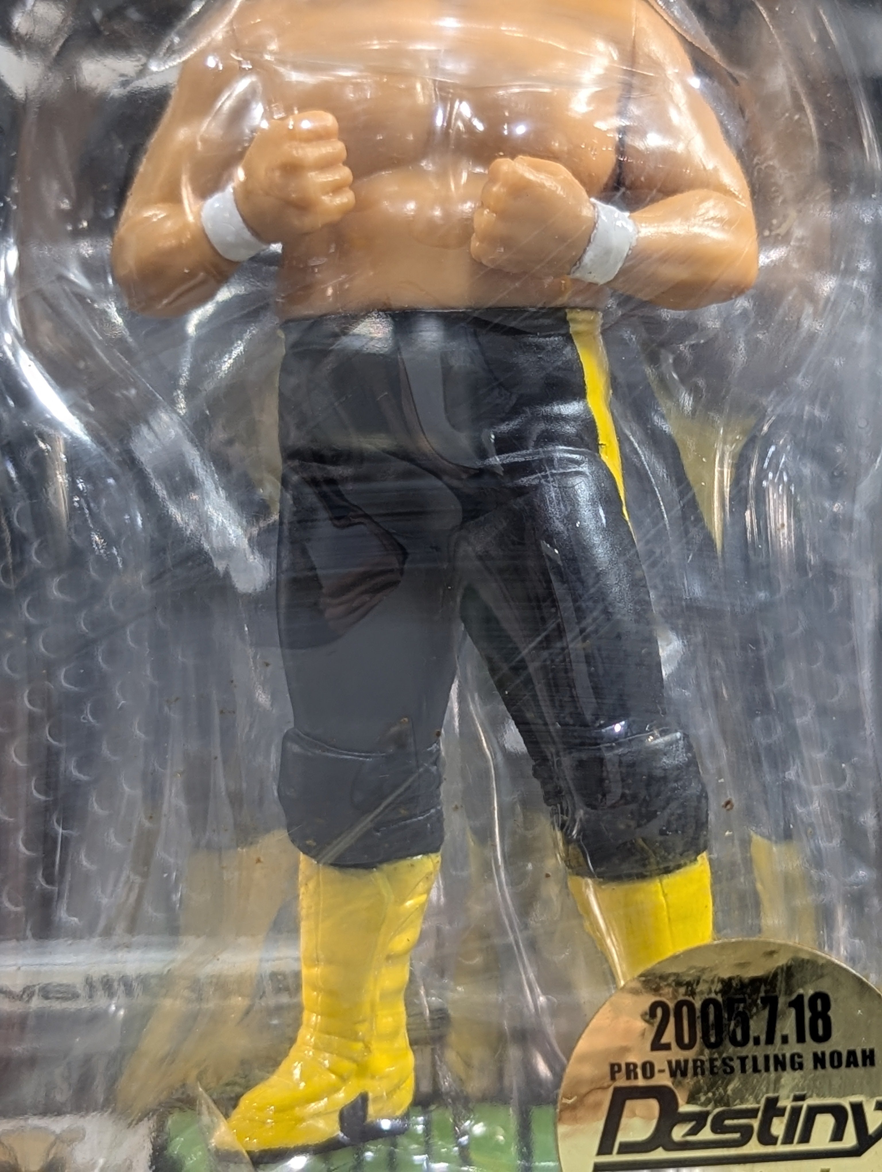 Amazon.co.jp: PRO-WRESTLING NOAH DESTINY2005 7.18東京ドーム