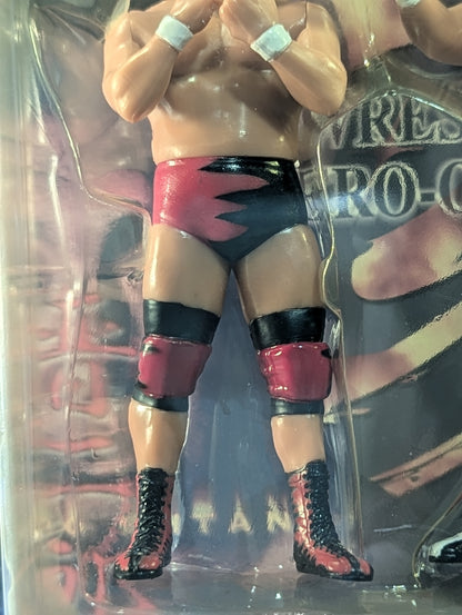 Shinya Hashimoto  (stance)& Shinjiro Otani 