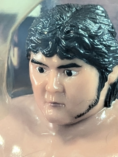 Shinya Hashimoto  (stance)& Shinjiro Otani 