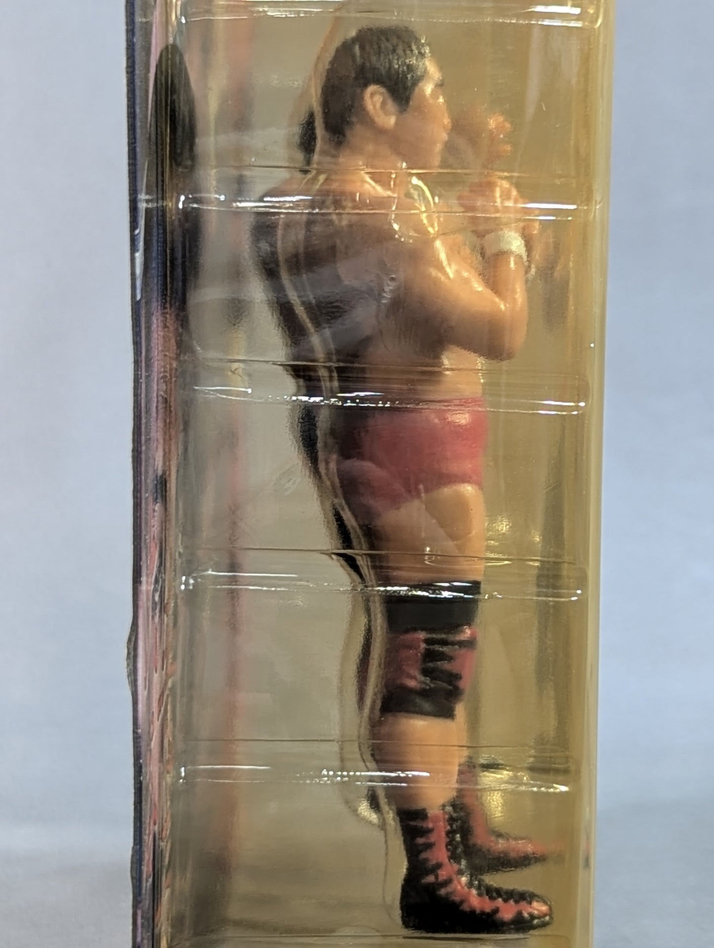 Shinya Hashimoto  (stance)& Shinjiro Otani 