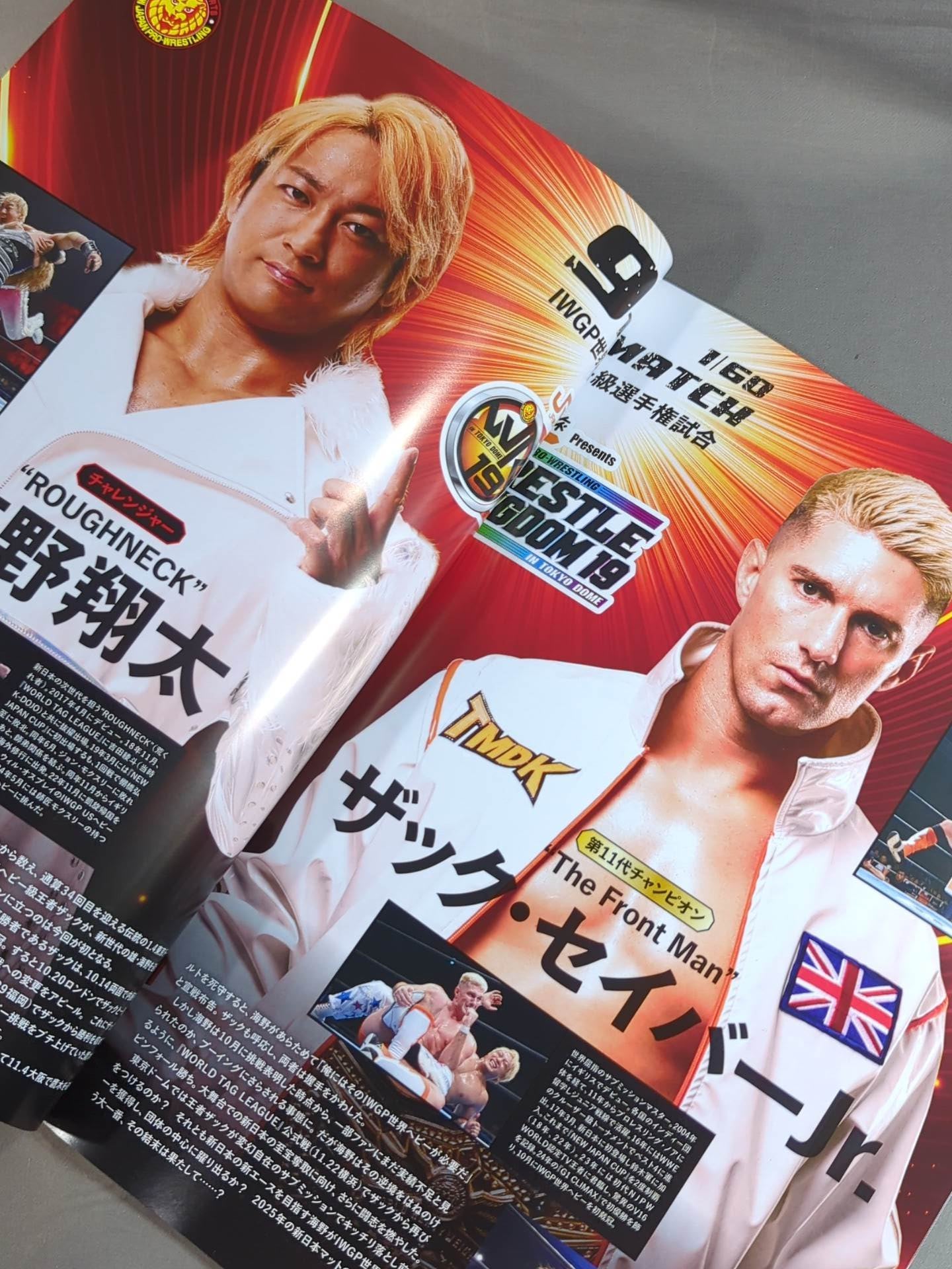 レッスルキングダム19&ダイナスティ / WRESTLE KINGDOM 19 & DYNASTY
