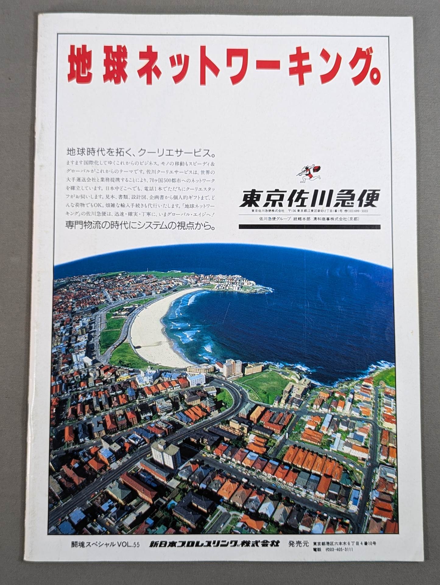 Fighting Spirit Special 55