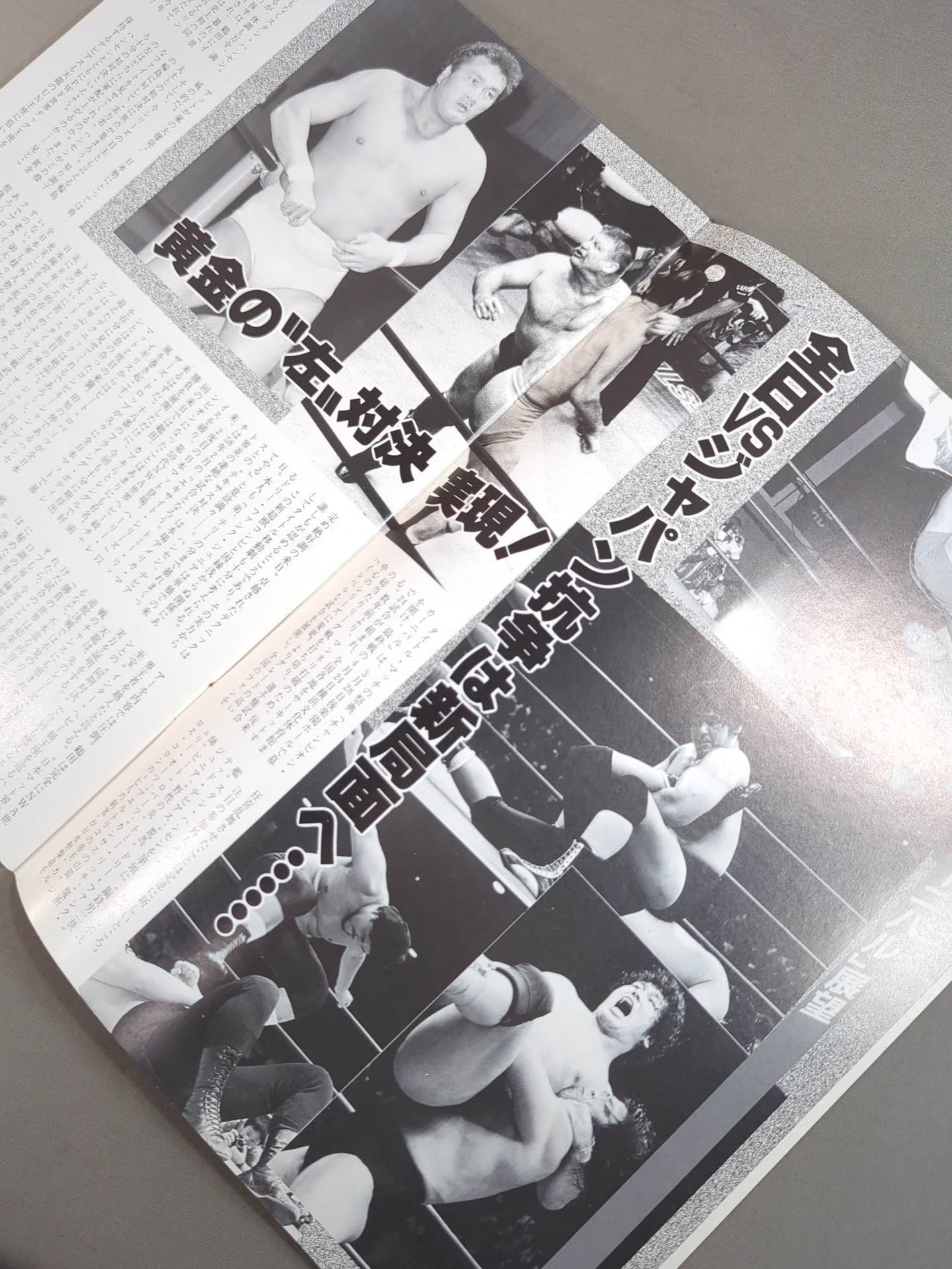 87 Carnival of Champions