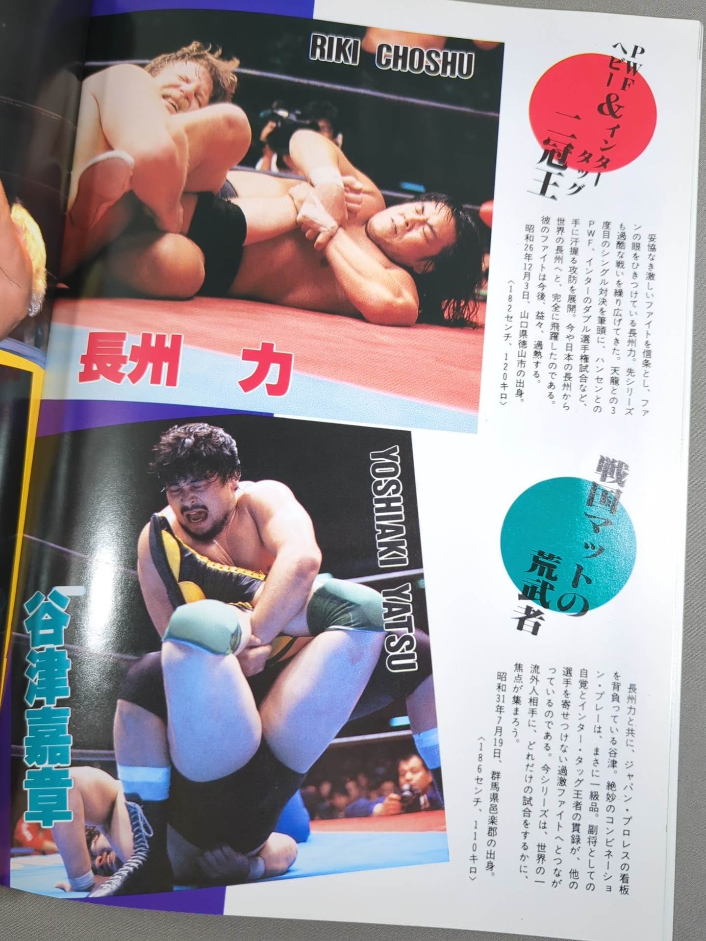 ★ Riki Choshu vs Terry PWF ★ 86 Giant Series