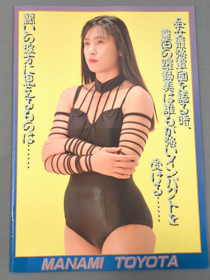 リングスターPROGRAM 1993 / LAST SUMMER&AUTUMN SPECIAL
