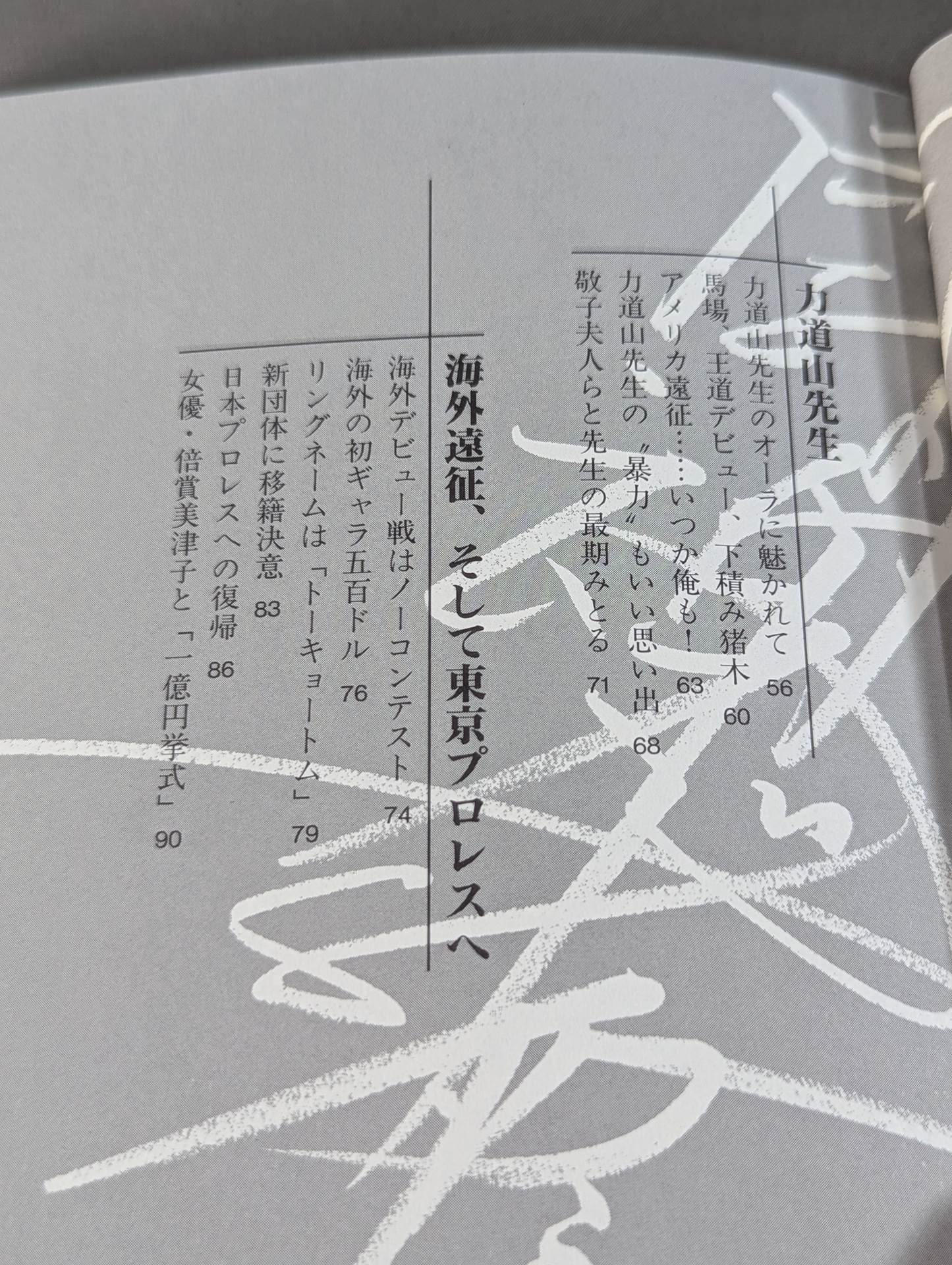 不滅の闘魂