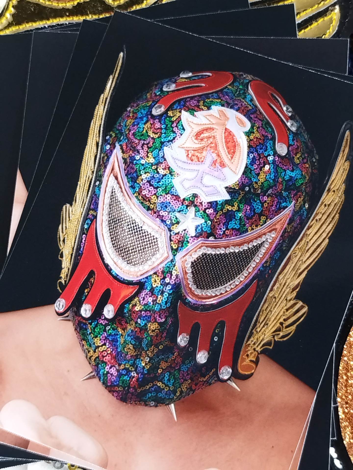 BUSHI