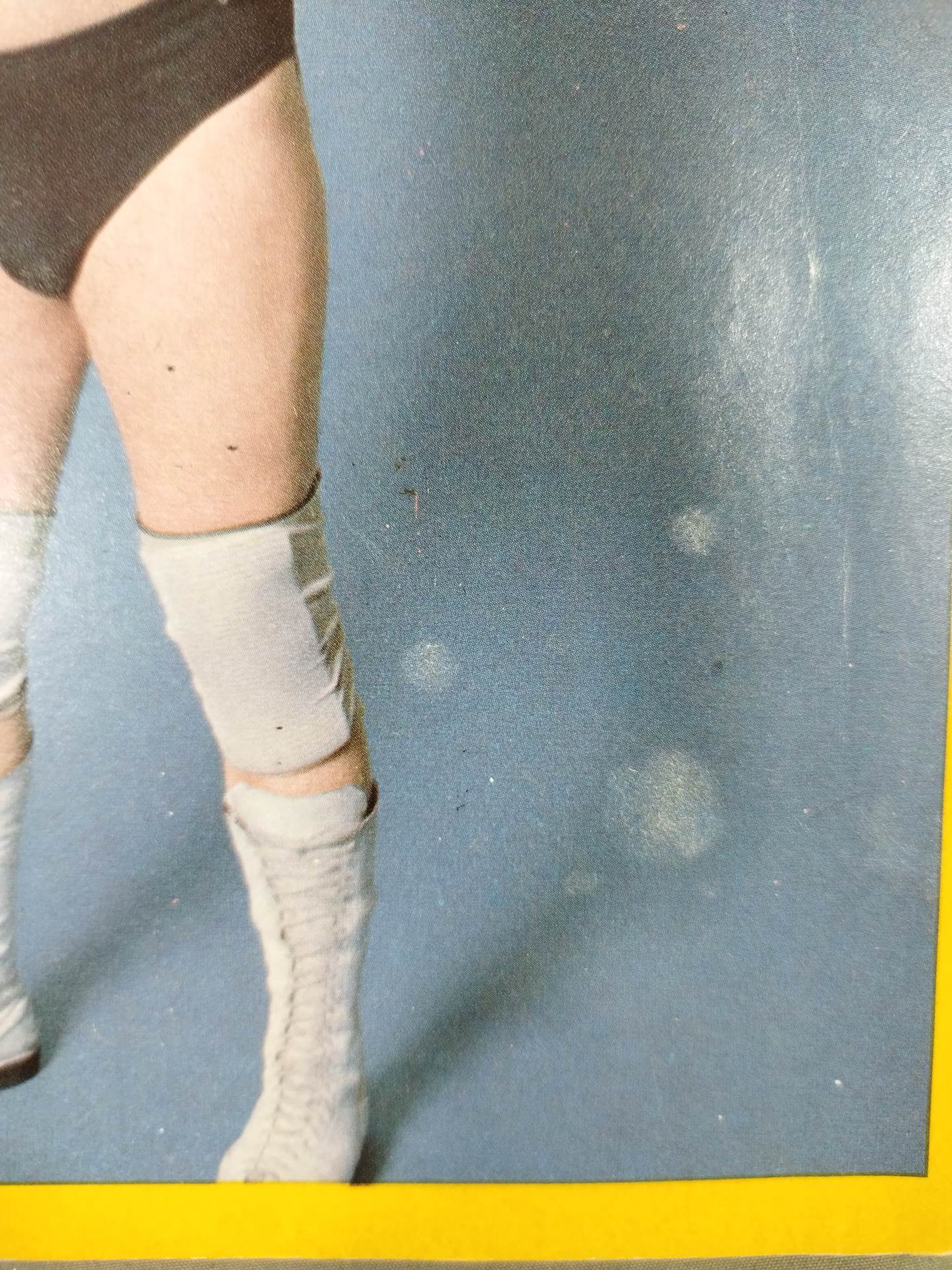 Wrestling REVUE ANNUAL