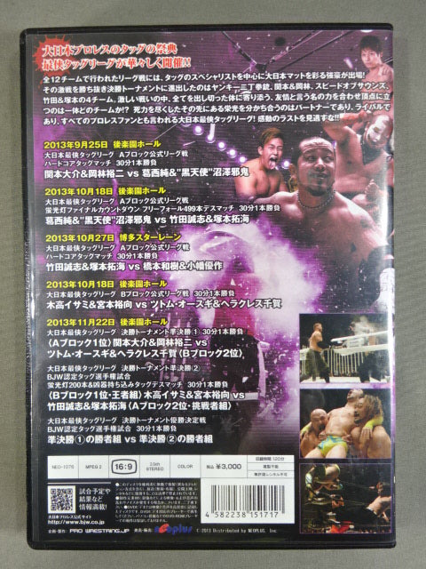 最侠タッグリーグ2013