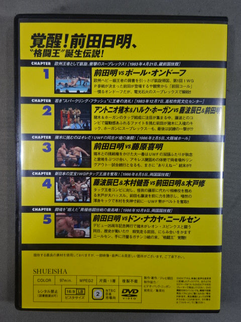 燃えろ!新日本プロレス vol.16