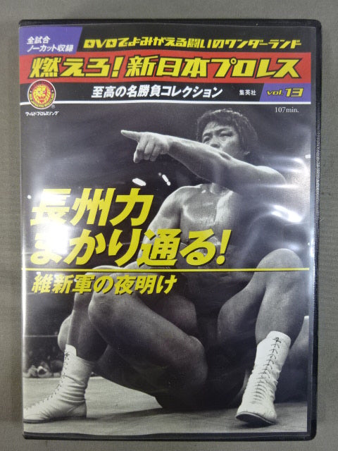 Burn! New Japan Pro Wrestling  vol.13