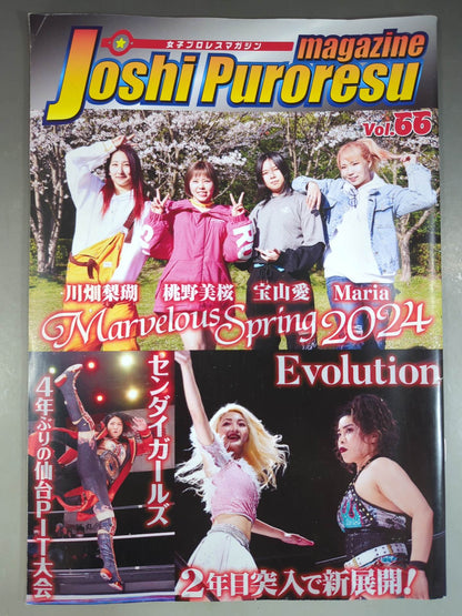 女子プロレスマガジン Vol.66