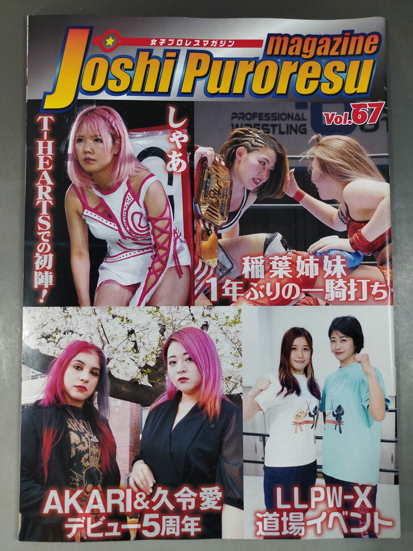 女子プロレスマガジン Vol.67