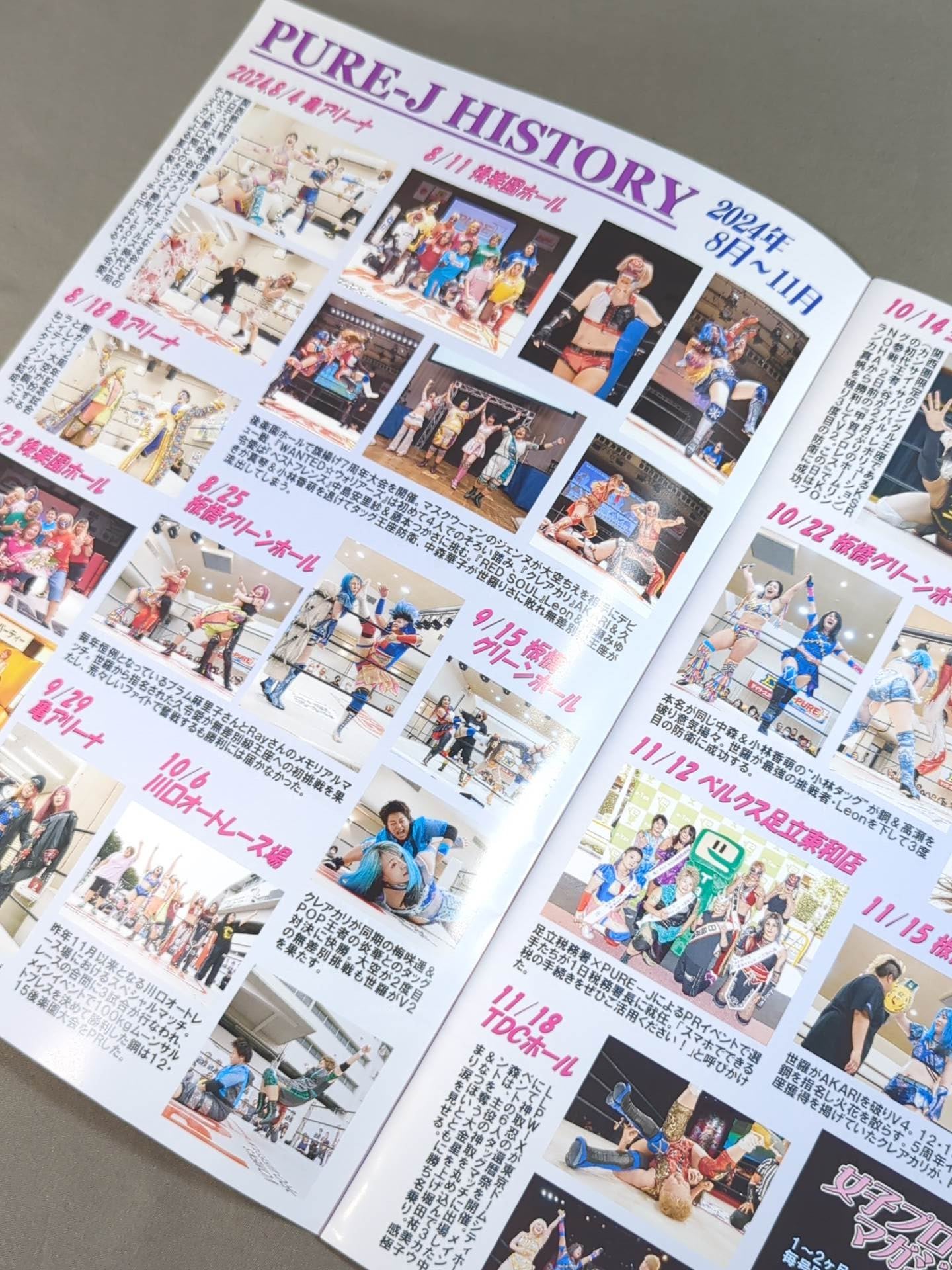 PURE-J女子プロレス オフィシャルパンフレット vol.20