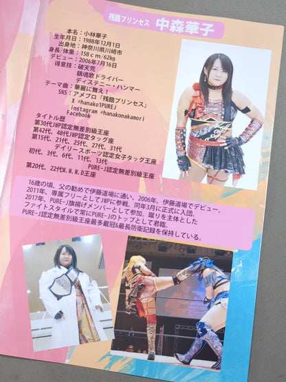 PURE-J女子プロレス オフィシャルパンフレット vol.20