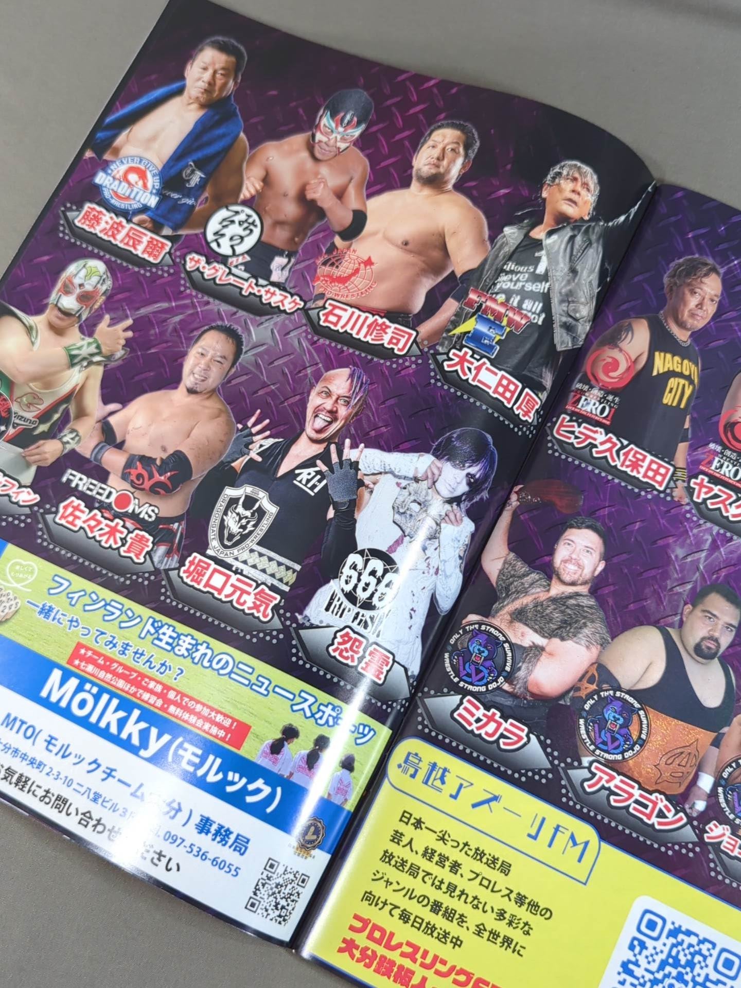 Pro-wrestling FTO 20th Anniversary "THE BIG SHOW"