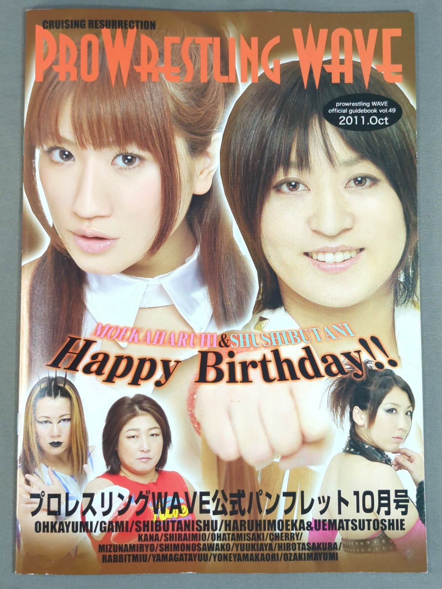 Pro-wrestling  WAVE Official Brochure vol.49