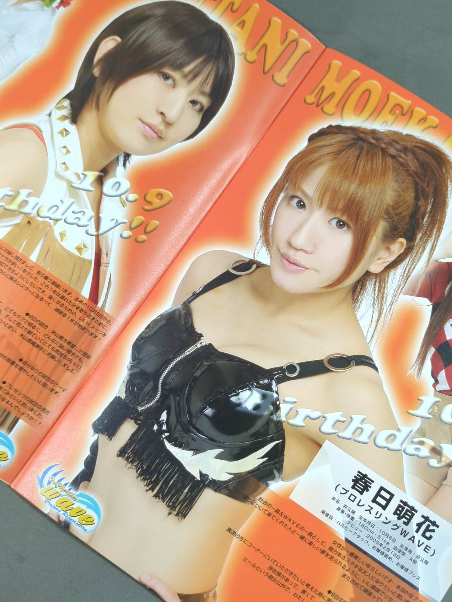 Pro-wrestling  WAVE Official Brochure vol.49
