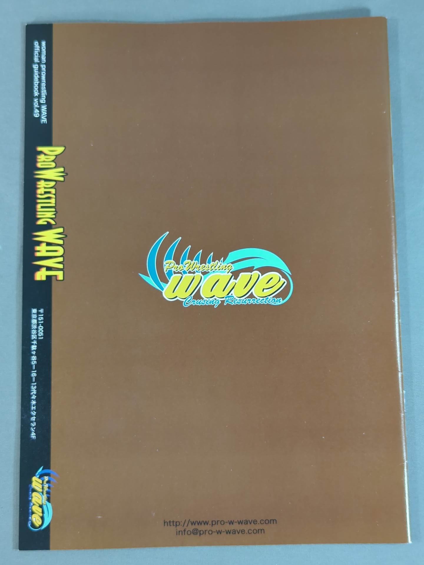 Pro-wrestling  WAVE Official Brochure vol.49