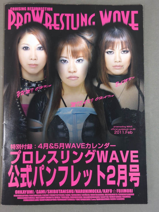 Pro-wrestling  WAVE Official Brochure vol.40