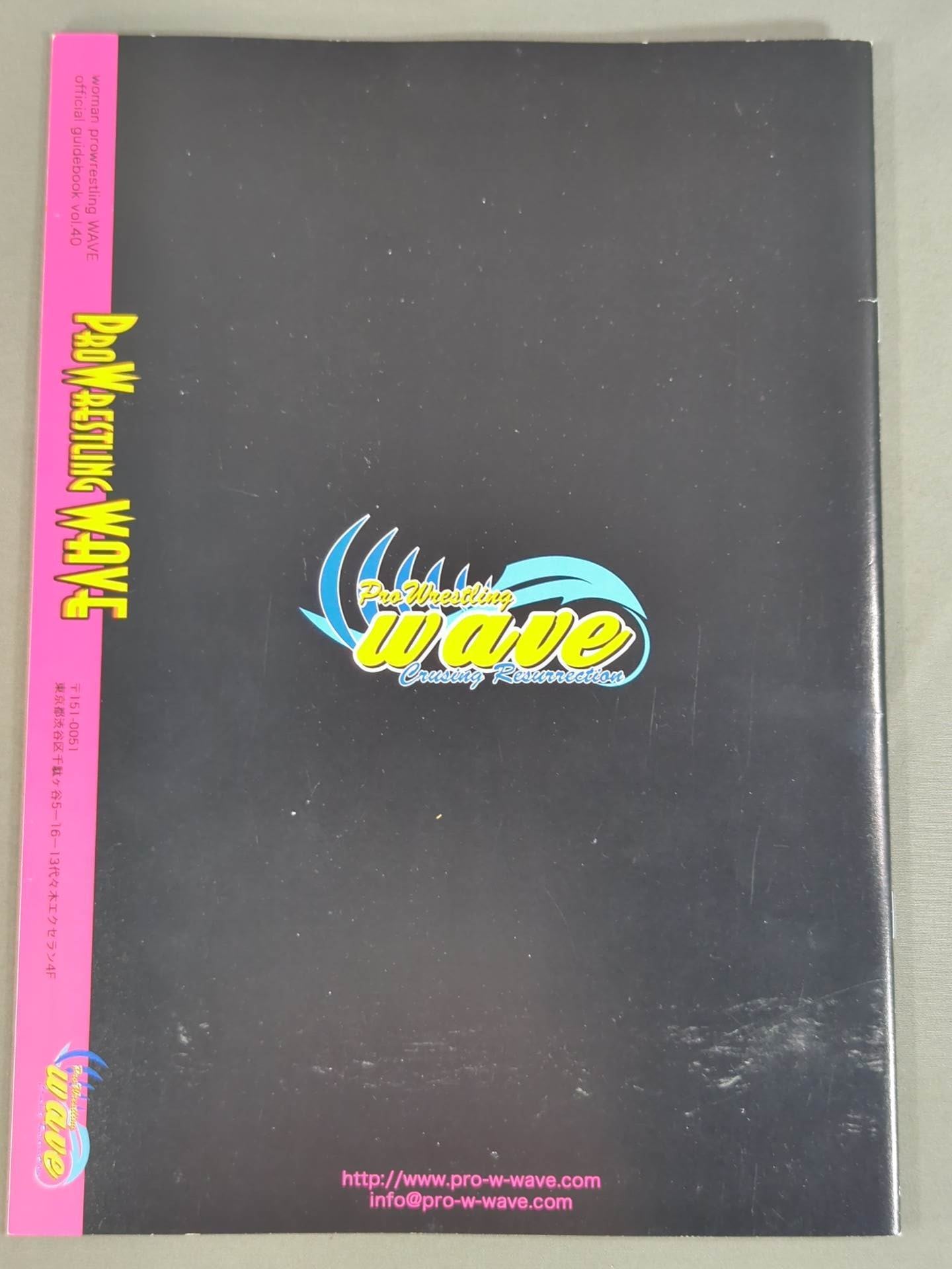 Pro-wrestling  WAVE Official Brochure vol.40