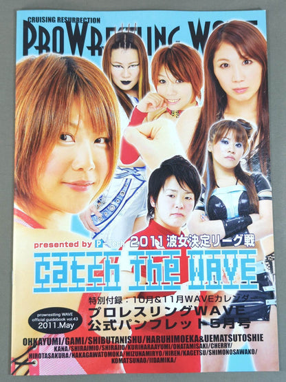 Pro-wrestling  WAVE Official Brochure vol.43