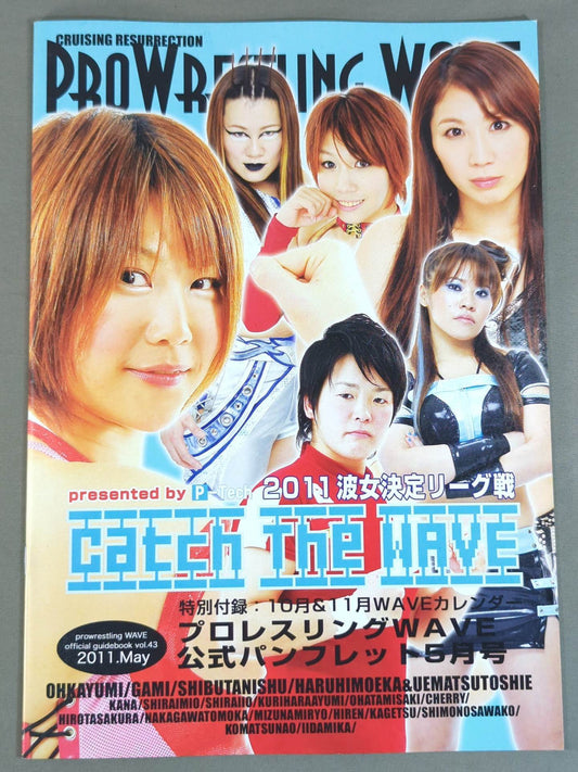 Pro-wrestling  WAVE Official Brochure vol.43