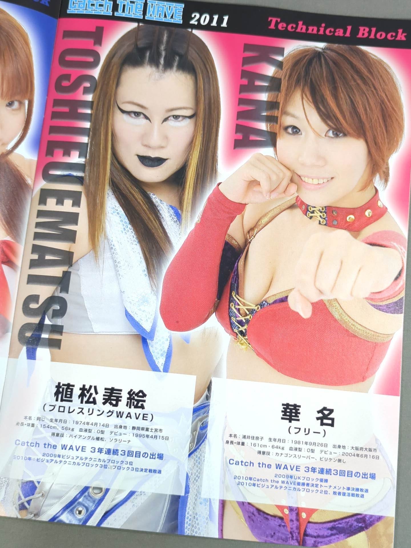 Pro-wrestling  WAVE Official Brochure vol.43