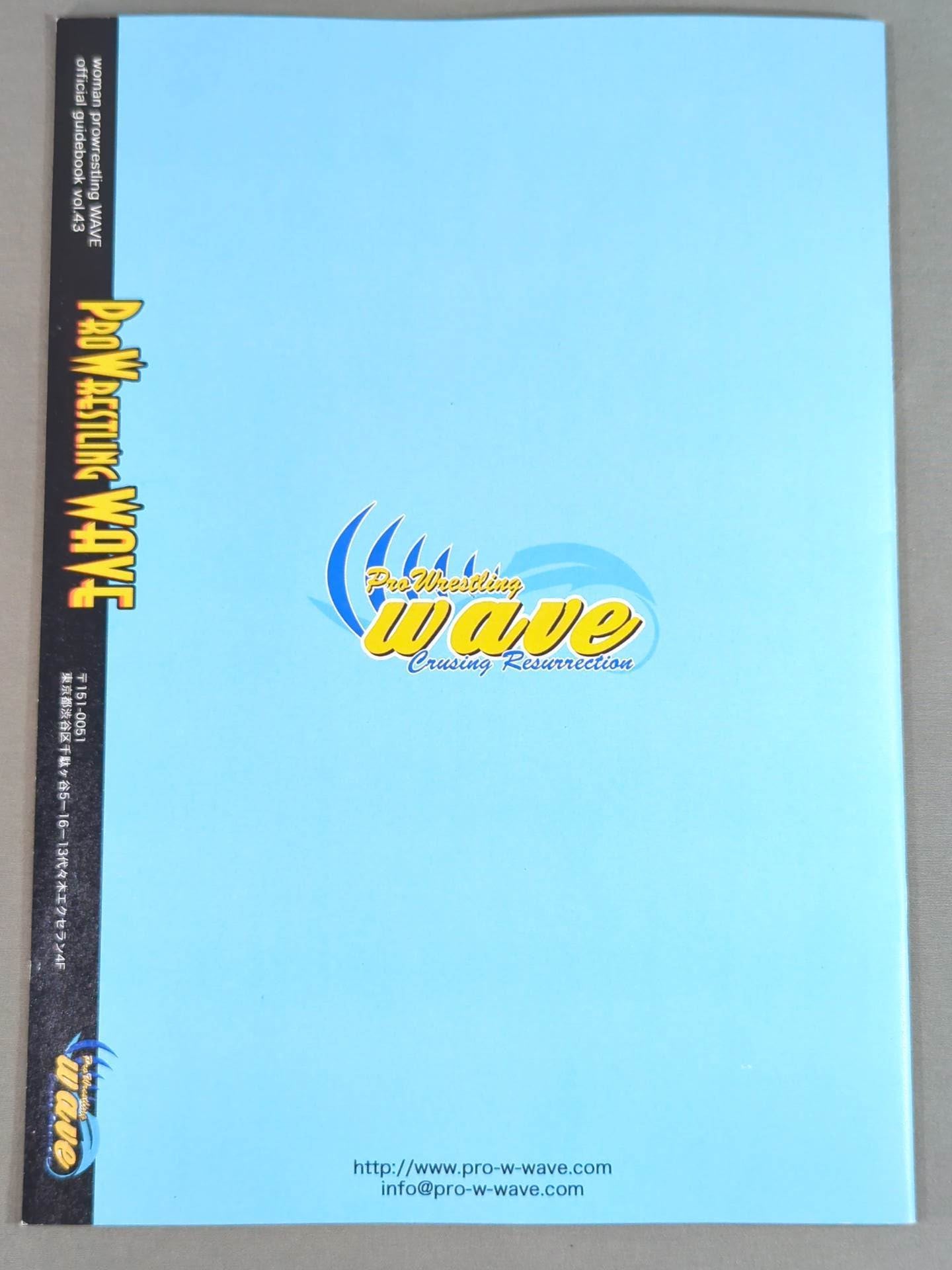 Pro-wrestling  WAVE Official Brochure vol.43