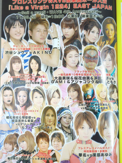 Pro-wrestling  WAVE Official Pamphlet vol.47