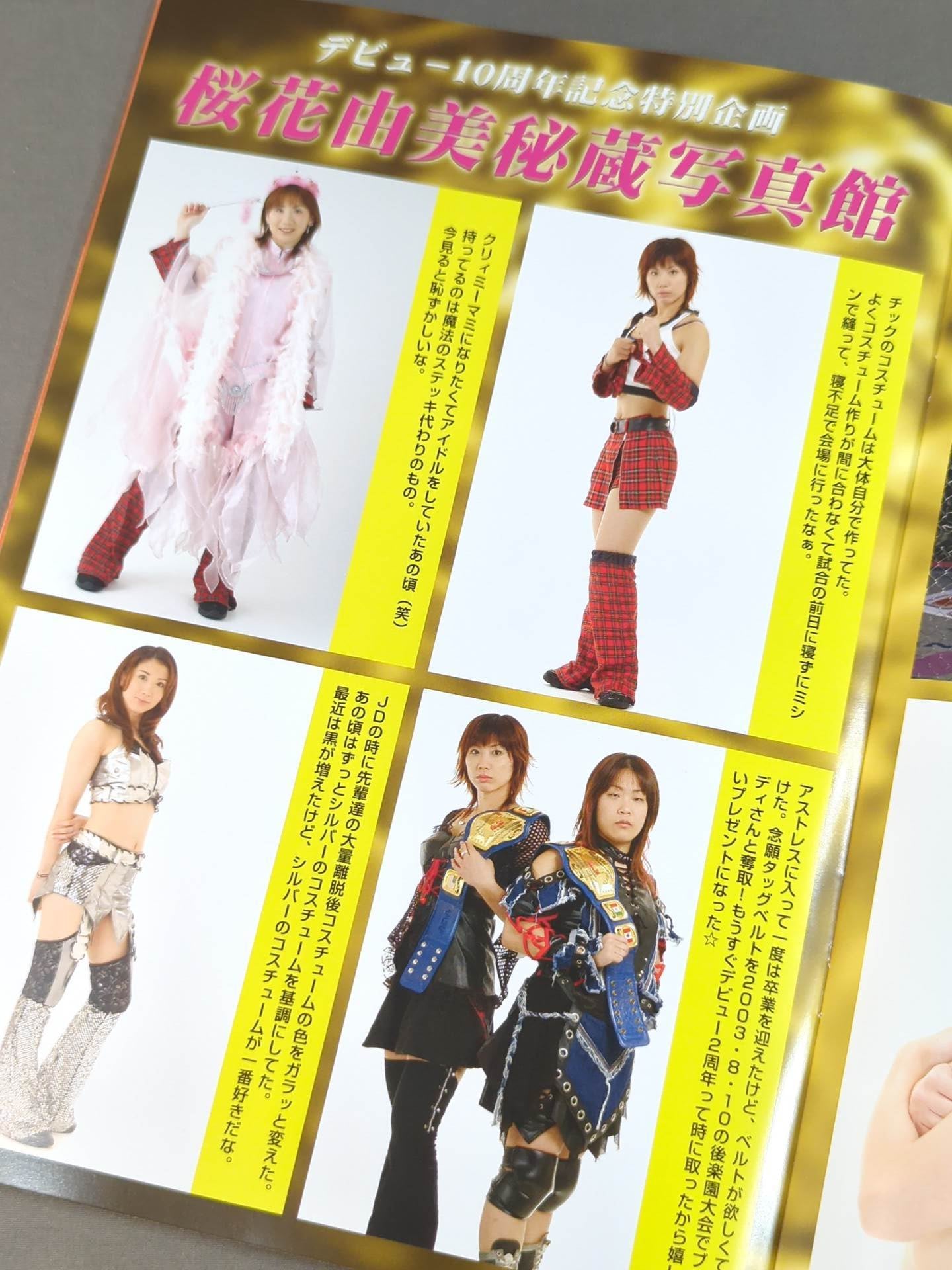 Pro-wrestling  WAVE Official Pamphlet vol.47