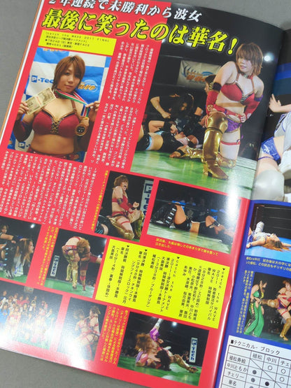 Pro-wrestling  WAVE Official Pamphlet vol.47