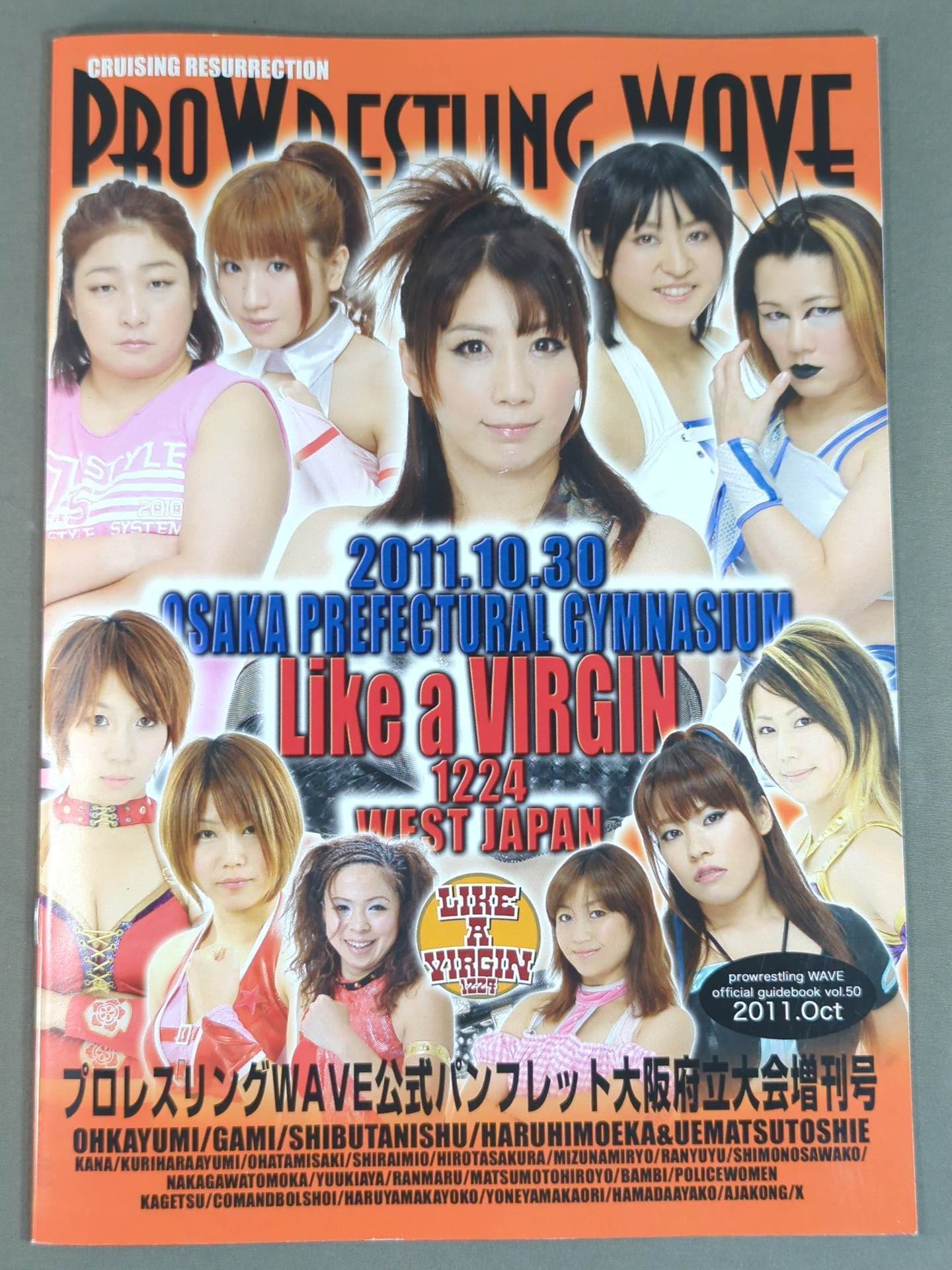 Pro-wrestling  WAVE Official Brochure vol.50