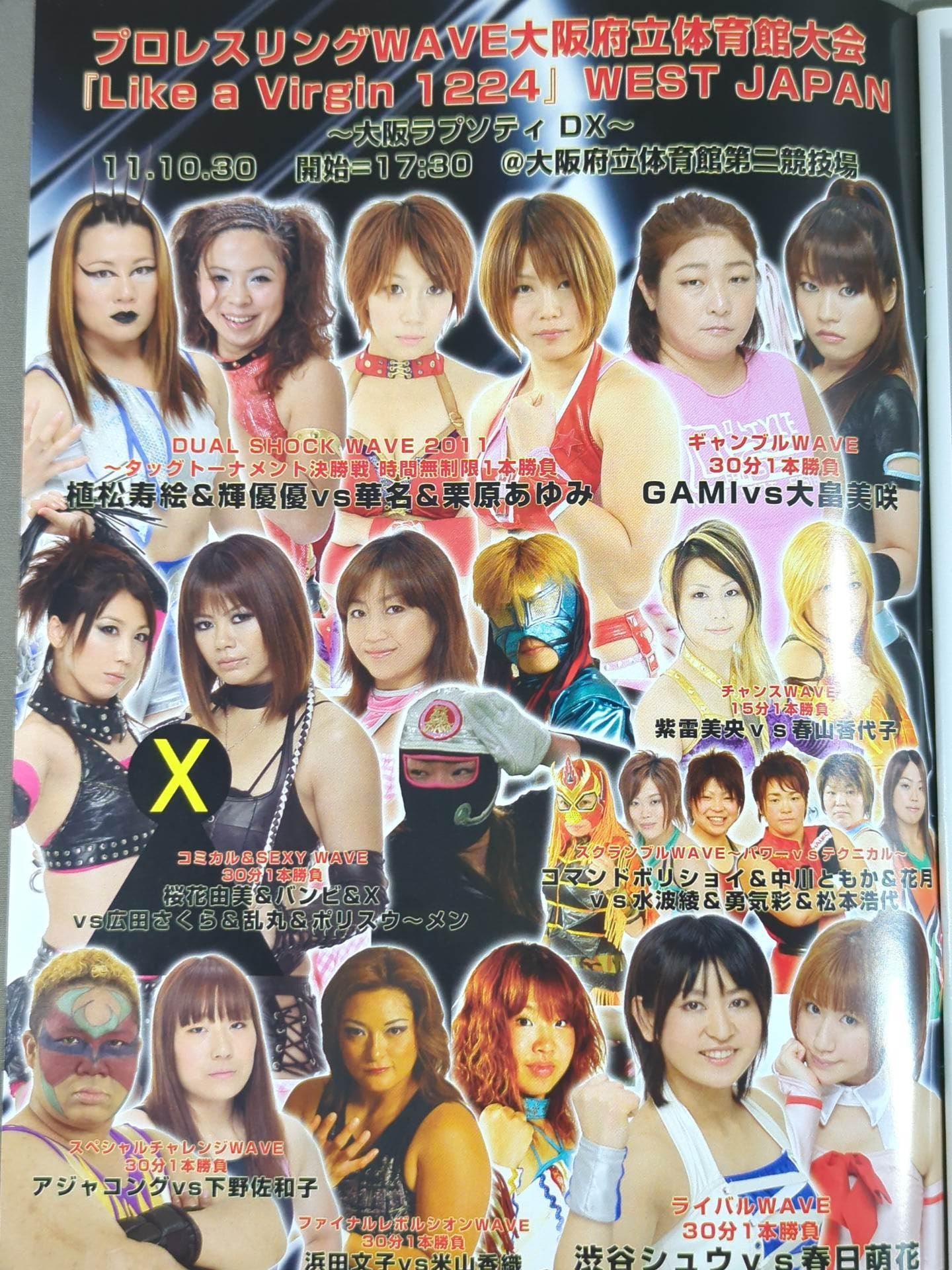 Pro-wrestling  WAVE Official Brochure vol.50