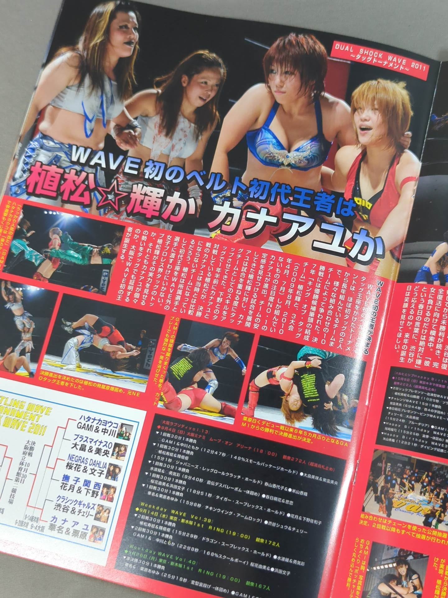 Pro-wrestling  WAVE Official Brochure vol.50