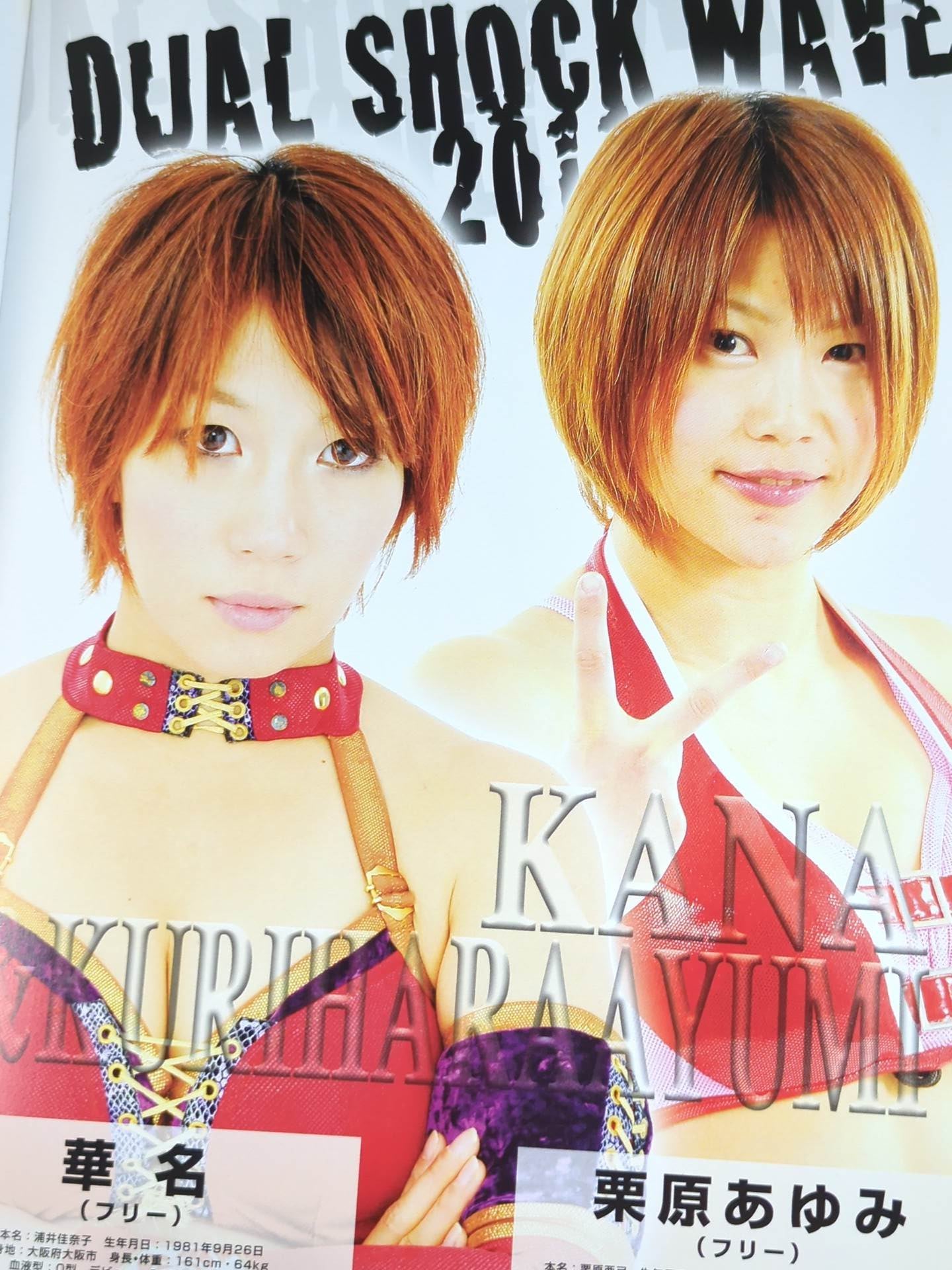 Pro-wrestling  WAVE Official Brochure vol.48