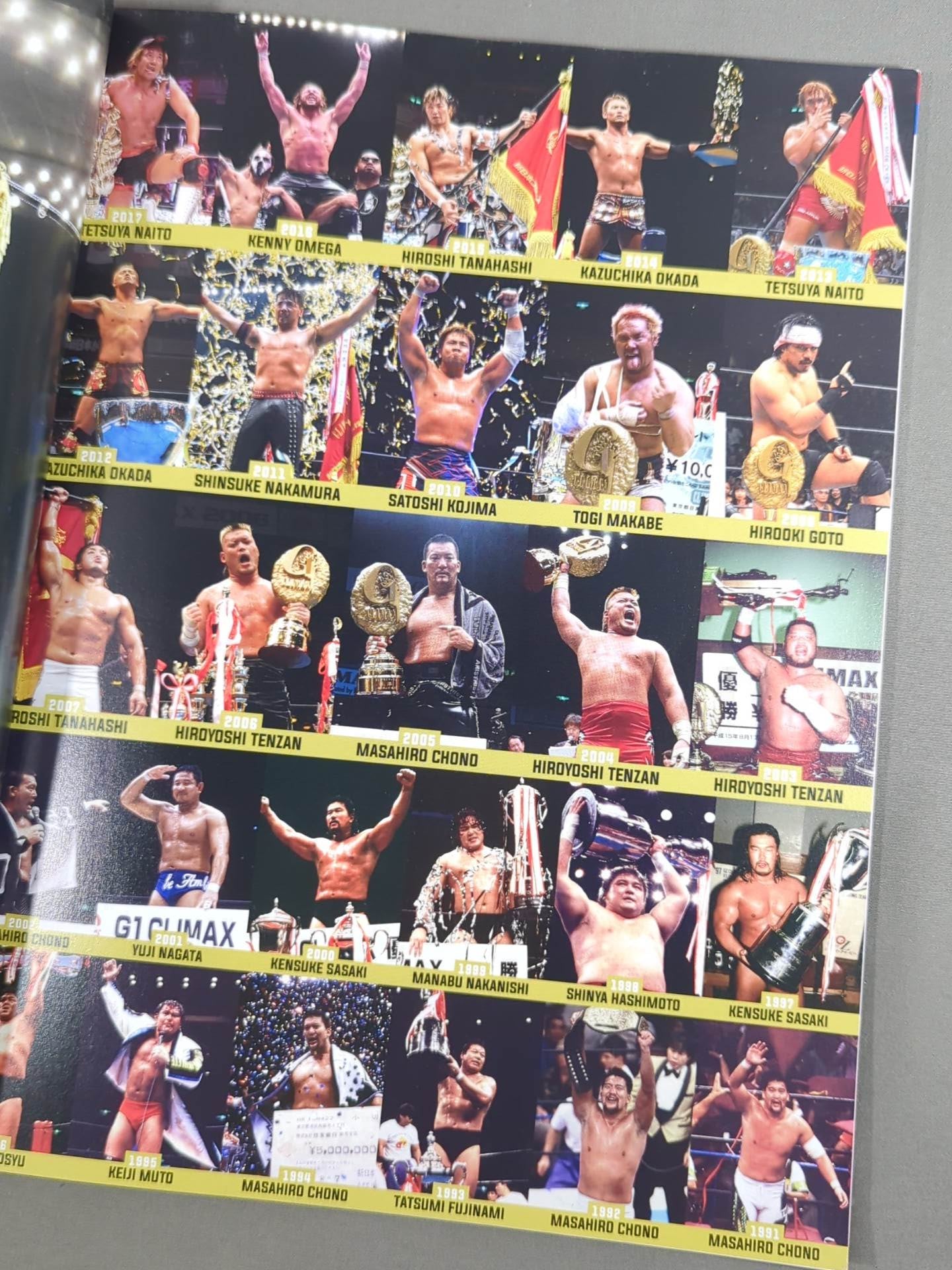 G1 CLIMAX 29 / G1クライマックス29